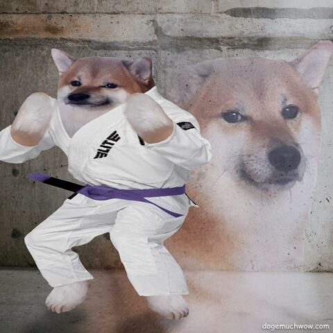 Karate Cheems meme template.