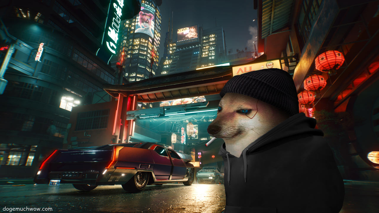 Chromed up Cheems exploring Night City streets. Such tech. Much cyber. Wow.