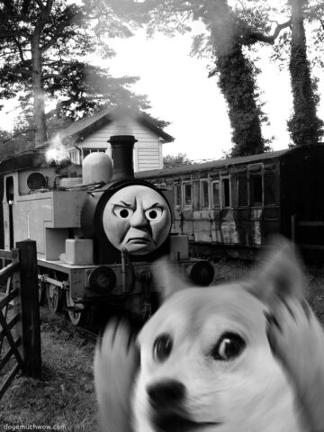 Black and white image depicting a terrified Doge running away from Thomas the Mad Engine.
