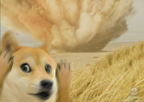 Doge shocked by whale explosion. Much boom. Such dissapear. Wow.