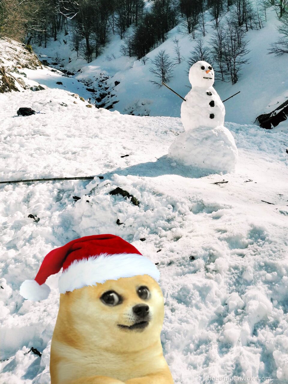 Doge's lil bro wearing santa's hat and posing with a snowman.