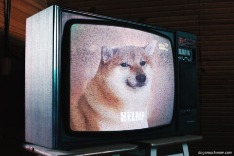 Crying Cheems dog (from the memes) trapped in a TV. The subtitles show only "HELMP".