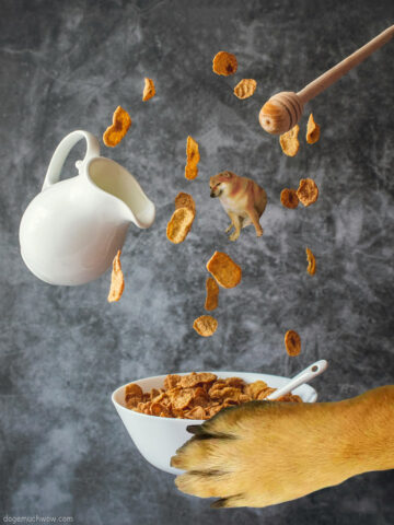 Doge paw holding bowl full of corn flakes with even more cornflakes falling from the sky along with milk, honey and Cheems. Such cereal. Wow.