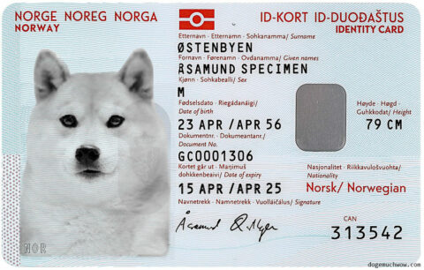 Norwegian Doge ID card. Such identity. Wow.