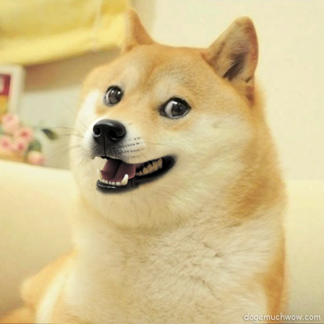 Very happy Doge. Such smile. Much wow.