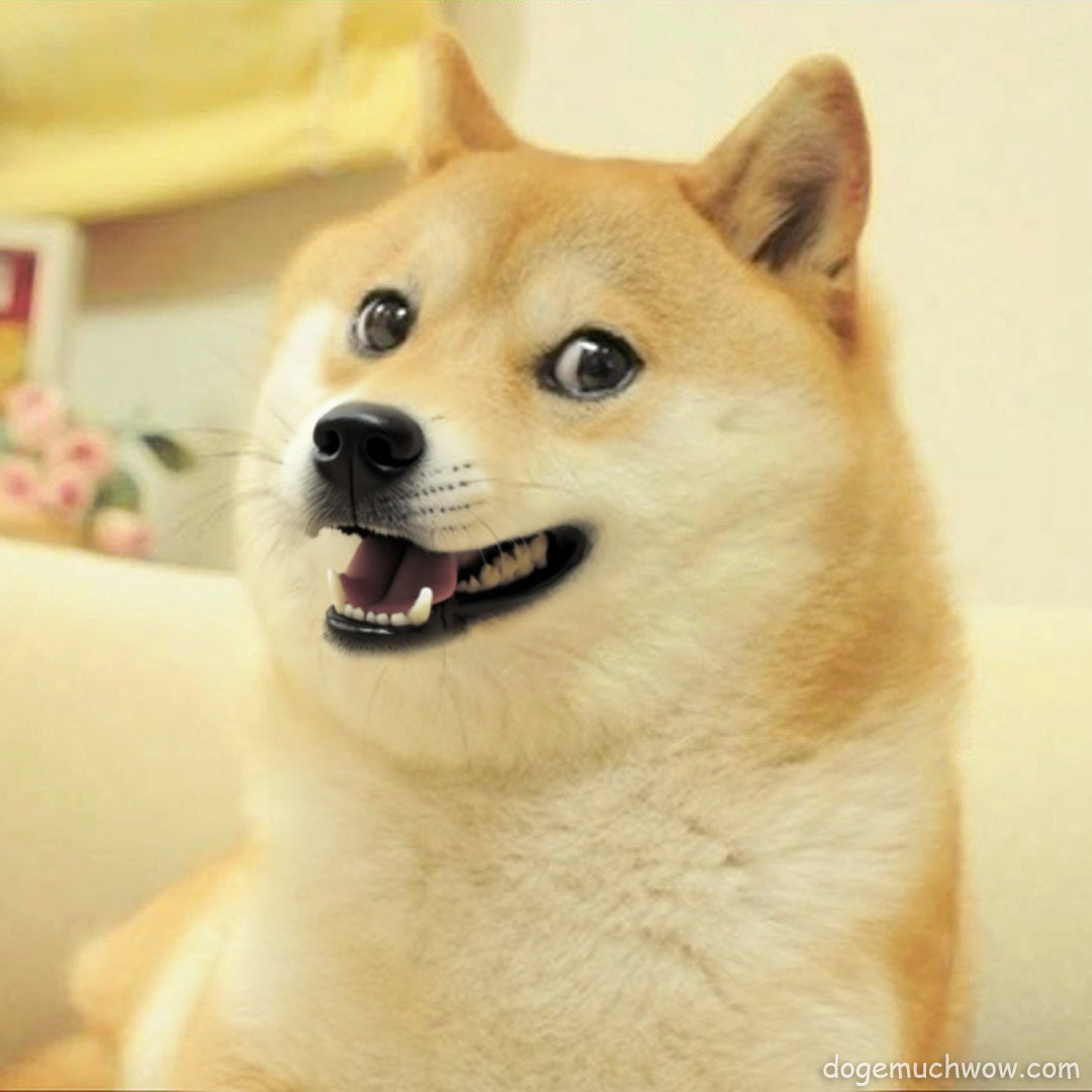 Don’t Worry Be Happy 😄 | Doge Much Wow