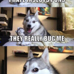 Pun Dog Hates Insects Puns 🪰