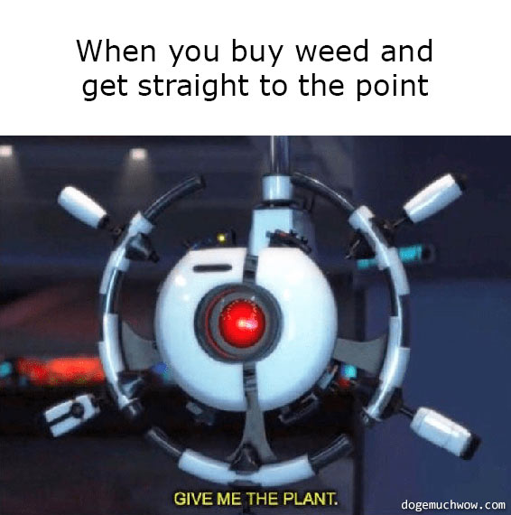 Deep visual thinking 14. Image depicting a screen capture of Pixar's AUTO robot from the movie Wall-E saying "Give me the plant". Caption: When you buy weed and get straight to the point.