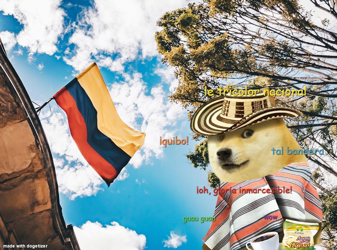 Colombian Doge with a flag of Colombia in the background. ¡Quibo! Wow.