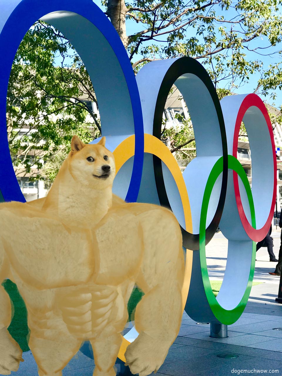 Swole Doge at the Olympic Games with big olympic logo in the background. Such event. Much sport. Wow.