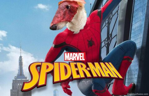 Doggo hangs on the wall of a skyscraper in a Spiderman costume with a mask made of a red leaf. Such hero. Wow.