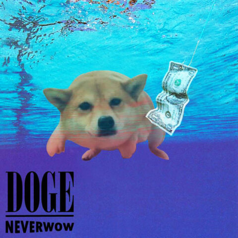 Nirvana Nevermind doge album cover. Very Nirvana, Much Nevermind. Wow.