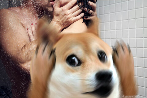 Doge shocked with you mom sinning in the shower. Wow.