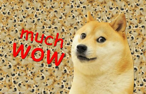 Doge meme dog against a background of hundreds of doges. Big caption: MUCH WOW.