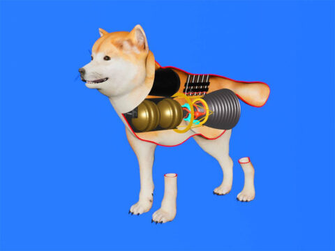 Dog internals model on a blue background. Such engine. Very booster. Wow.