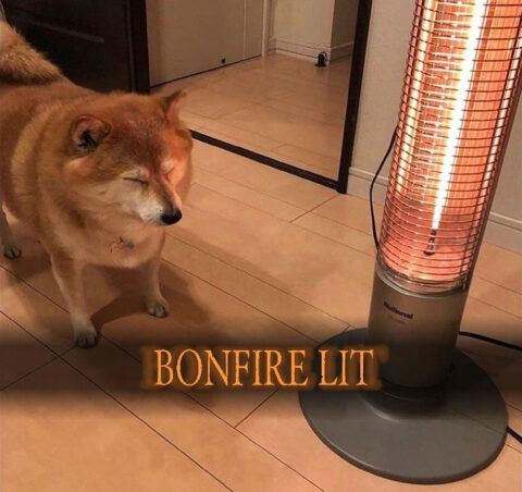 Bork Souls doggo next to a fire lamp. Caption: BONFIRE LIT