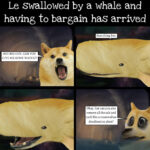 Le Swallowed By A Whale Has Arrived 🐋