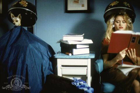 Elle Woods and Bruiser Woods drying their hair while studying law. Such knowledge. Much sacrifice. Wow.