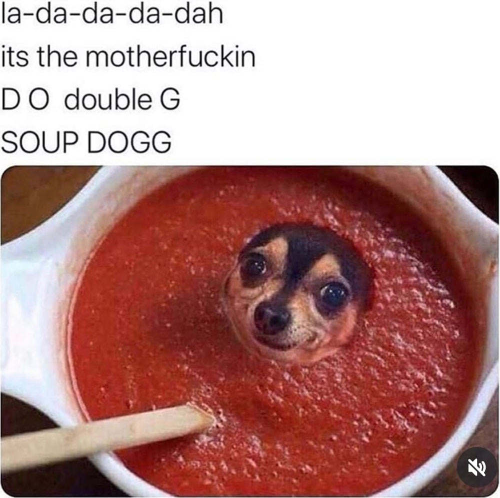 A dog in a soup. La-da-da-da-dah its the motherfucking D O double G SOUP DOGG. Wow.
