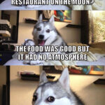 Bad Pun Dog From The Moon 🌑