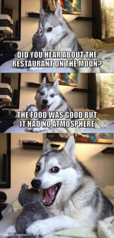 Pun dog meme: Did you hear about the restaurant on the moon? The food was good but it had no atmosphere.