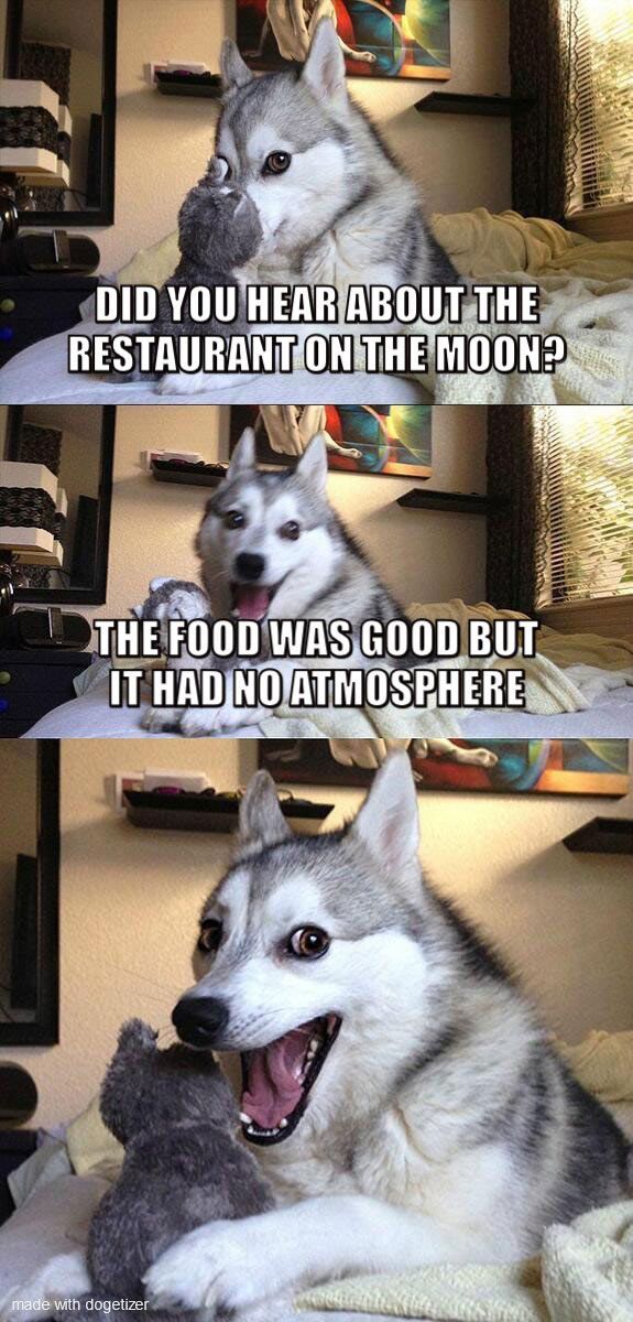 Pun dog meme: Did you hear about the restaurant on the moon? The food was good but it had no atmosphere.