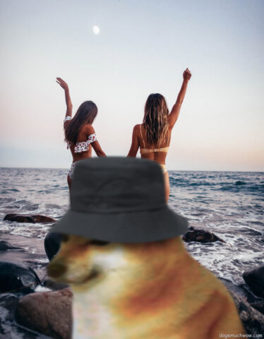 Cheems getting into the camera frame and covering up pretty ladies going wild on the beach. Such timing. Wow.