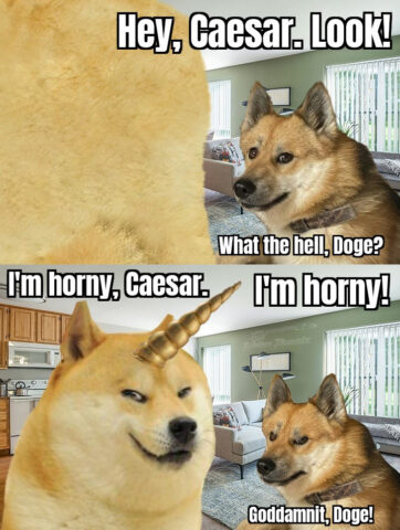 2 panel comic. Panel 1 - Doge comes to Caesar, we can see only Doge's back. Doge: Hey, Caesar Look! Panel 2: Doge actually has a narwhal horn attached to forehead. Doge: I'm horny Caesar! I'm horny! Caesar: Goddamit Doge!