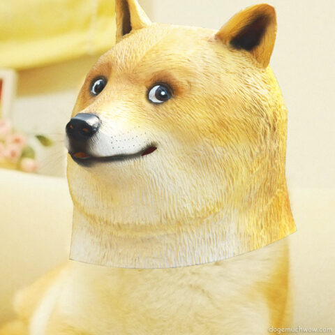Doge wearing a doge mask. Wow.