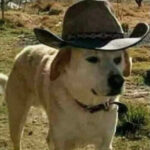 Le Texas Ranger Has Arrived 🤠