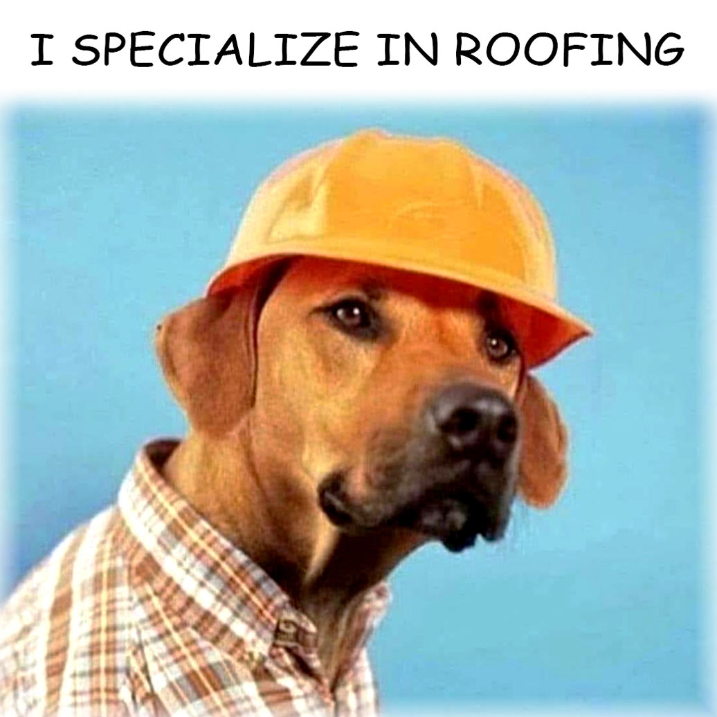 A dog wearing a yellow safety helmet. Caption: I specialize in roofing.