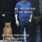 When You Have To Go To Work 👨‍💼