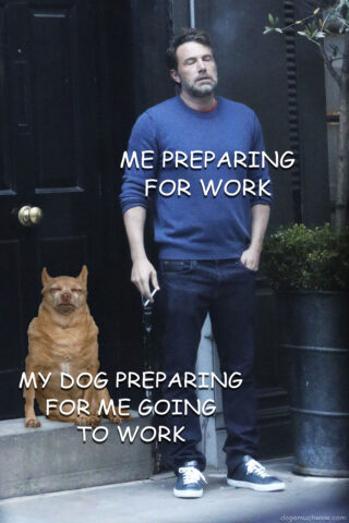 Tired Ben Affleck meme depicting tired Ben Affleck with a caption: ME PREPARING FOR WORK and additional tired doggo with caption: MY DOG PREPARING FOR ME GOING TO WORK. The dog obviously dislikes the fact the owner has to go to work. Wow.