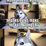 Bad Pun Dog Feels Numb 🧮
