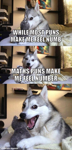 Bad pun dog meme: While most puns make me feel numb. Math puns make me feel number.
