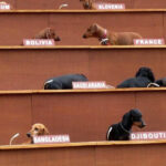 Le United Nations Have Arrived 🇺🇳