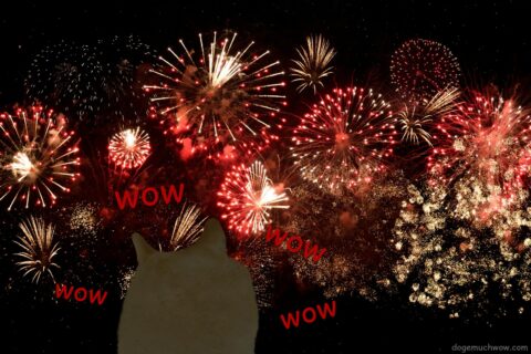 Doge barking happily at fireworks. Such show. Very bang. Wow. Wow. Wow. Wow.