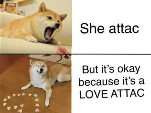 Doge barking. Captions: She attack. But it's okay because it's a LOVE ATTACK.