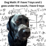 Dog Math Is Simple 💯