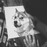 Pencils And How They Are Made ✏️