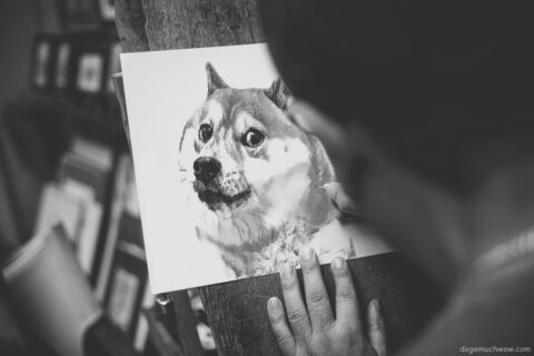 Black and white photo of someone pencil drawing the Doge. Such art. Wow.