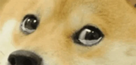 Wet eyed doge gif. So emotion, much teary. Wow.