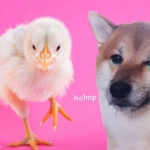 Le Easter Adventure Has Arrived 🐥