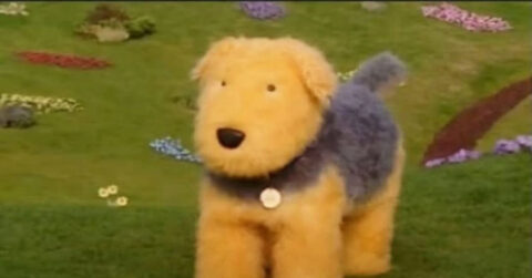 The dog from Teletubbies. Such animal. Wow.