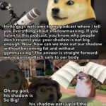 Le Shadowmaxxing Has Arrived 👤