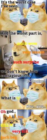 Classic doge meme infection comic strip by UnbirthedPizza.