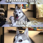 Bad Pun Dog Horny Frog 🐸