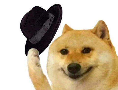Hat tipping Doge.